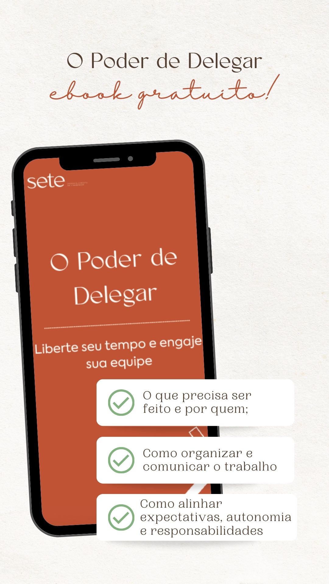 Ebook O poder de Delegar